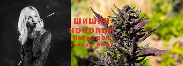 молекула духа Аркадак
