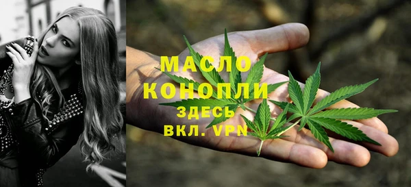 сатива Армянск