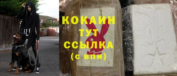 сатива Армянск
